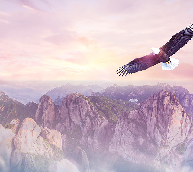 品牌戰略(圖4) 品牌戰略(圖4)