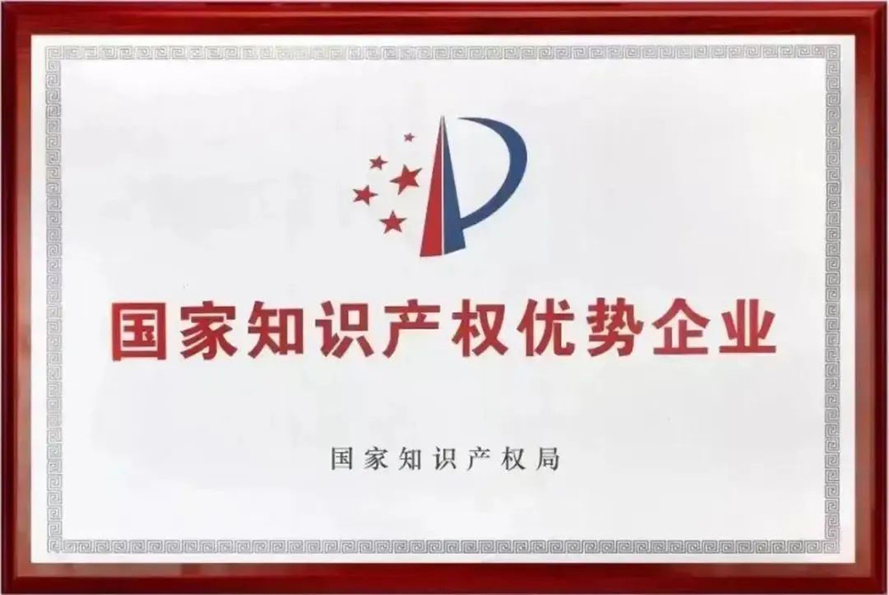 熱烈祝賀我司獲評“國家級知識產(chǎn)權優(yōu)勢企業(yè)”認定(圖3)